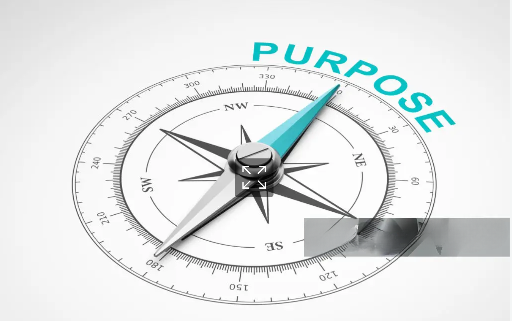 Purpose compass showing our mission direction