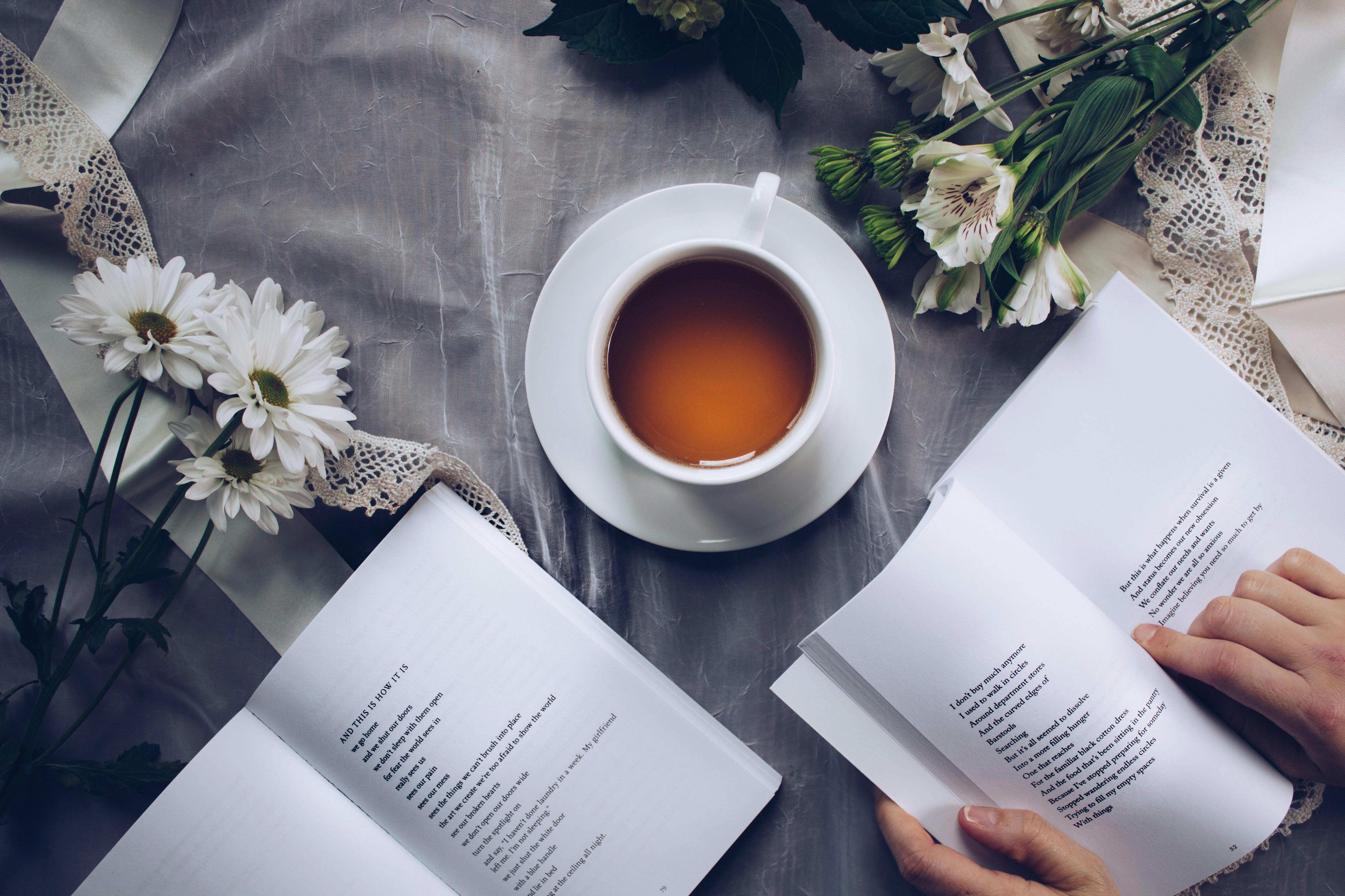 Psychoeducation and wellness resources with calming educational setup